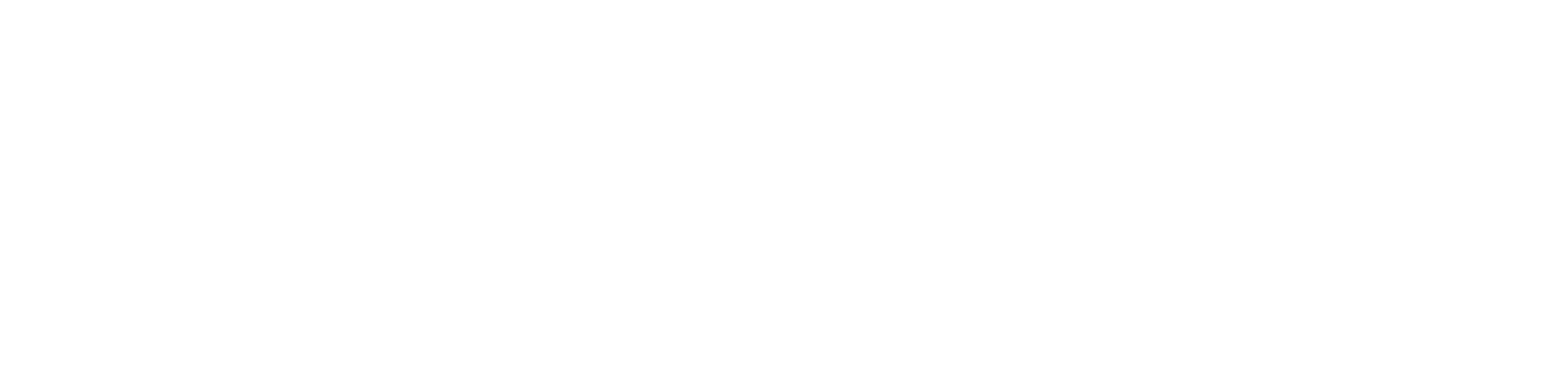 Global shoes